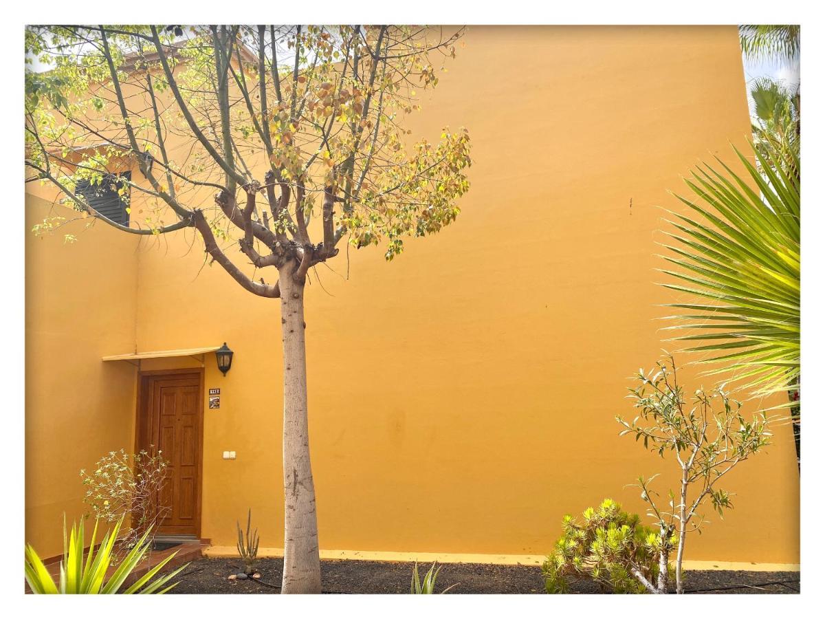 Appartamento Tamarindo Pura Vida - Relax Y Vistas Al Mar Corralejo Esterno foto