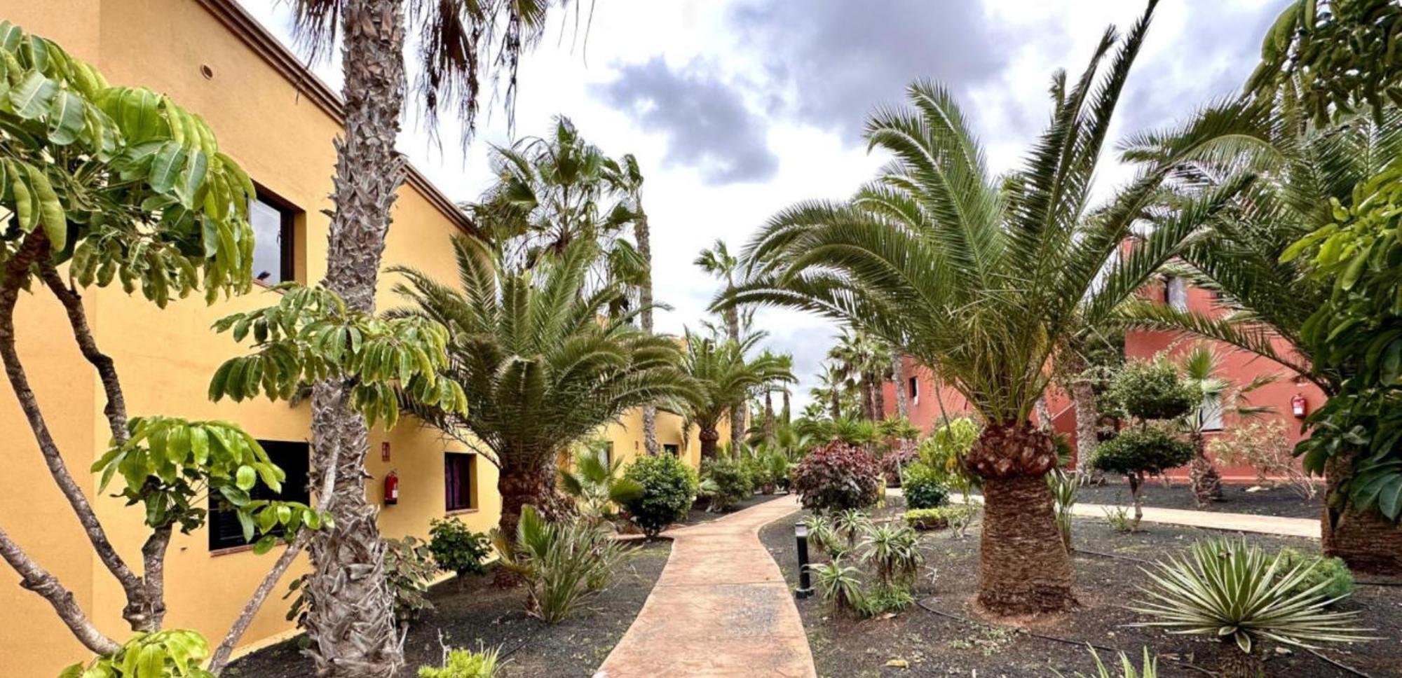 Appartamento Tamarindo Pura Vida - Relax Y Vistas Al Mar Corralejo Esterno foto